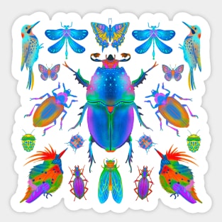 Winged Biodiversity Sticker